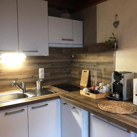 Duplex - Proche De Gerardmer Le Tholy Exterior photo