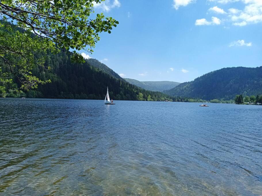 Duplex - Proche De Gerardmer Le Tholy Exterior photo